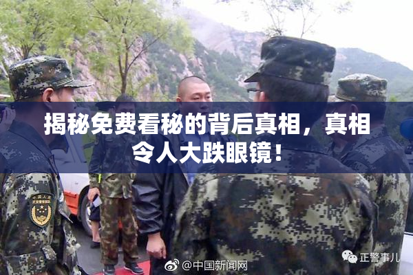揭秘免费看秘的背后真相，真相令人大跌眼镜！
