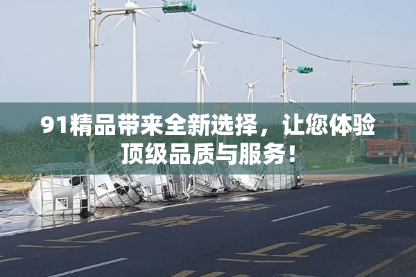 91精品带来全新选择，让您体验顶级品质与服务！