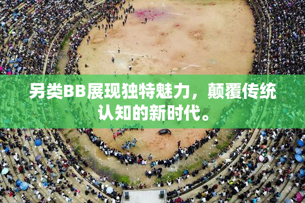 另类BB展现独特魅力，颠覆传统认知的新时代。