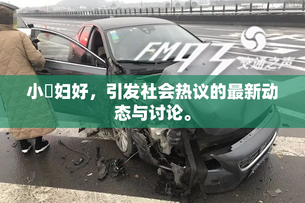 小婬妇好，引发社会热议的最新动态与讨论。