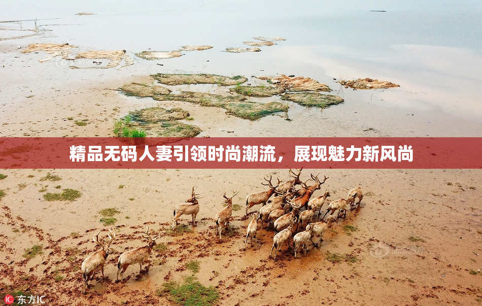 精品无码人妻引领时尚潮流，展现魅力新风尚