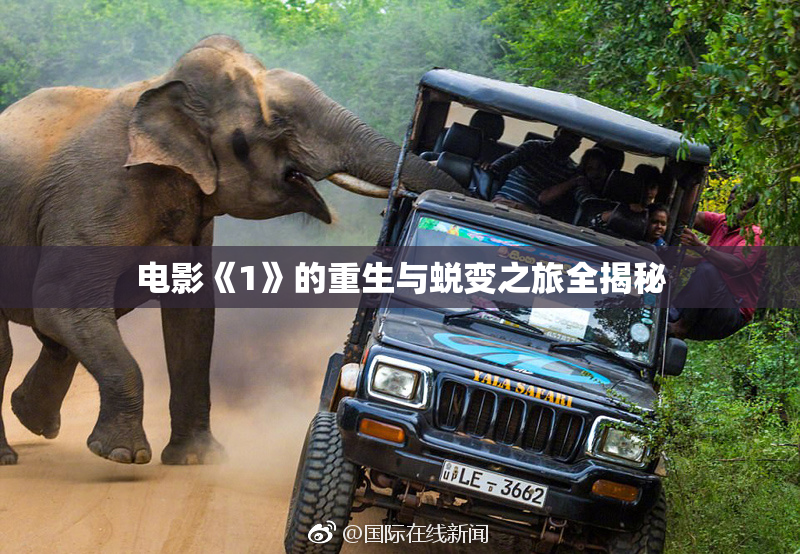 电影《1》的重生与蜕变之旅全揭秘