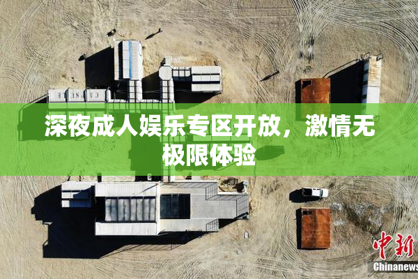 深夜成人娱乐专区开放，激情无极限体验