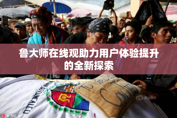 鲁大师在线观助力用户体验提升的全新探索