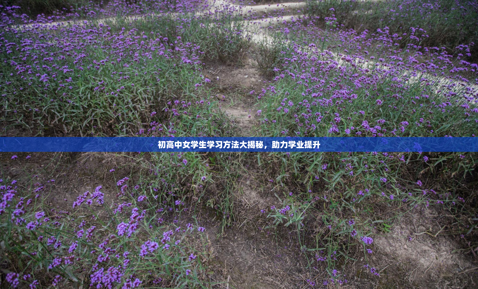 初高中女学生学习方法大揭秘，助力学业提升