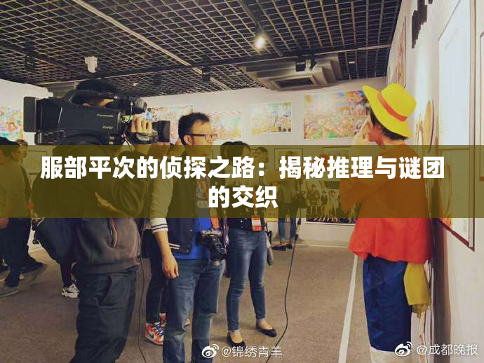 服部平次的侦探之路：揭秘推理与谜团的交织