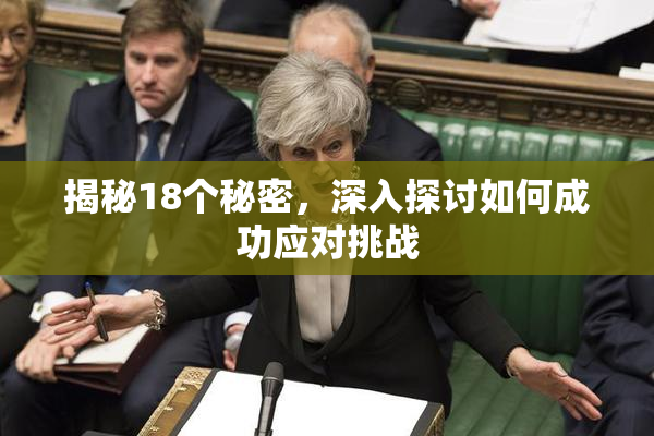 揭秘18个秘密，深入探讨如何成功应对挑战