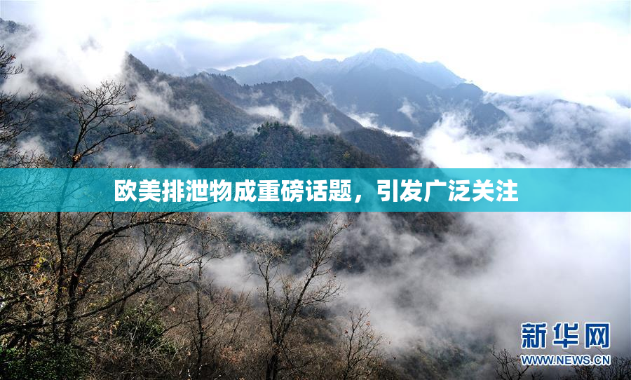 欧美排泄物成重磅话题，引发广泛关注