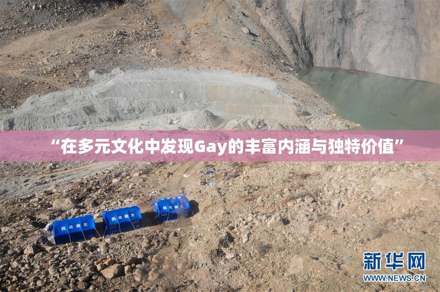 “在多元文化中发现Gay的丰富内涵与独特价值”