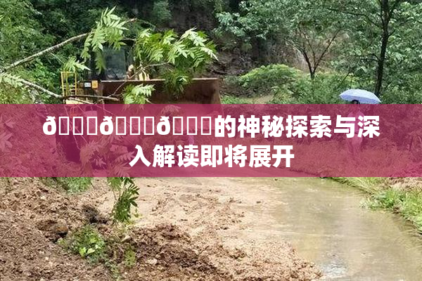 🍆🍑🔞的神秘探索与深入解读即将展开