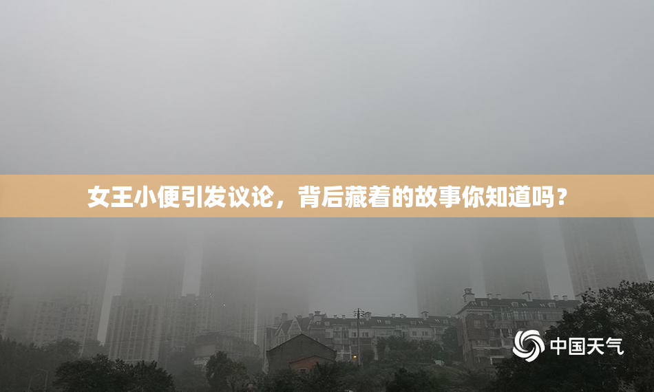 女王小便引发议论，背后藏着的故事你知道吗？