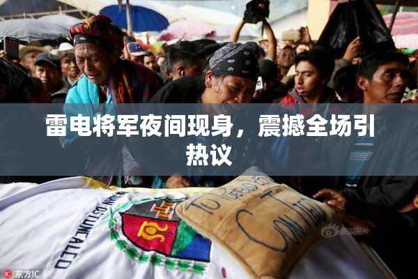 雷电将军夜间现身，震撼全场引热议