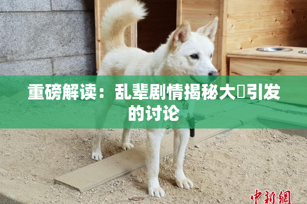 重磅解读：乱辈剧情揭秘大雞引发的讨论