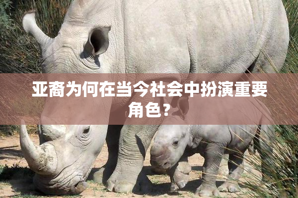 亚裔为何在当今社会中扮演重要角色？