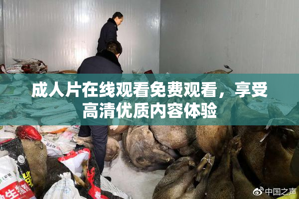 成人片在线观看免费观看，享受高清优质内容体验