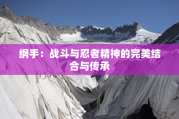 纲手：战斗与忍者精神的完美结合与传承