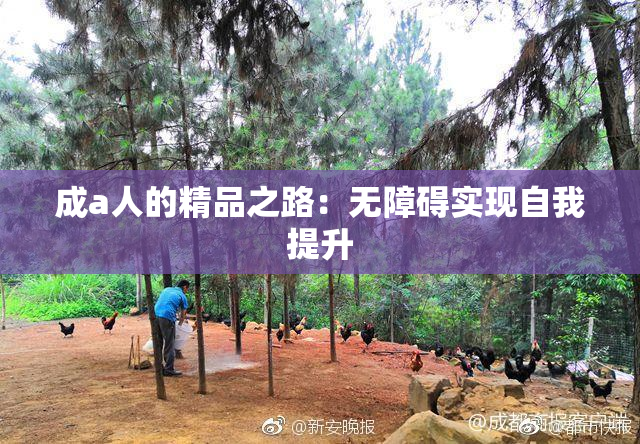 成a人的精品之路：无障碍实现自我提升
