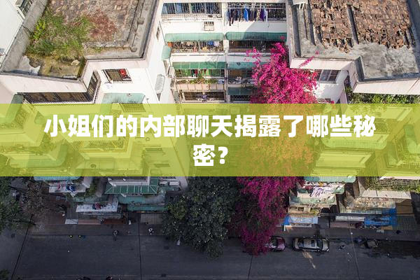 小姐们的内部聊天揭露了哪些秘密？