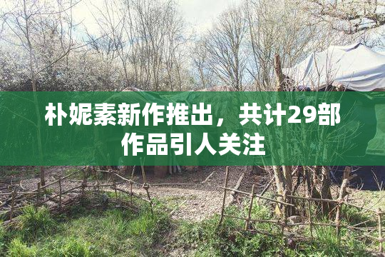 朴妮素新作推出，共计29部作品引人关注