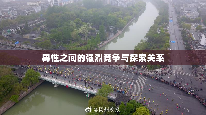 男性之间的强烈竞争与探索关系