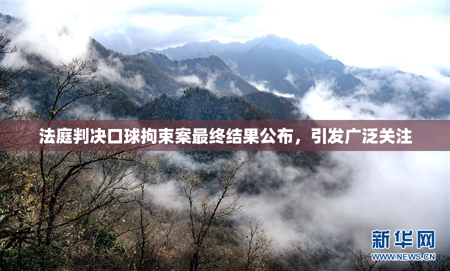 法庭判决口球拘束案最终结果公布，引发广泛关注