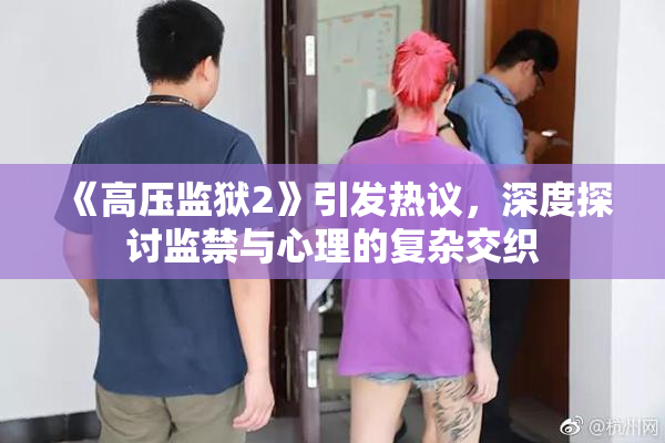 《高压监狱2》引发热议，深度探讨监禁与心理的复杂交织