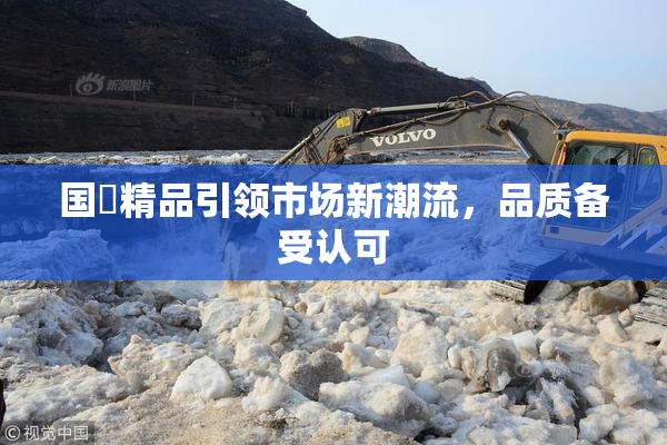 国產精品引领市场新潮流，品质备受认可