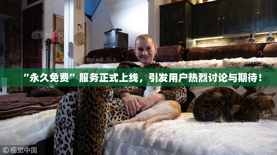 “永久免费”服务正式上线，引发用户热烈讨论与期待！