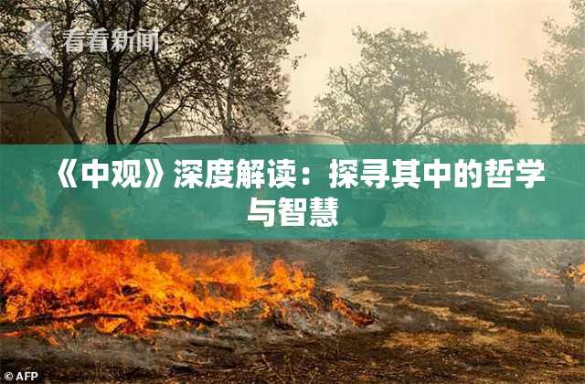 《中观》深度解读：探寻其中的哲学与智慧