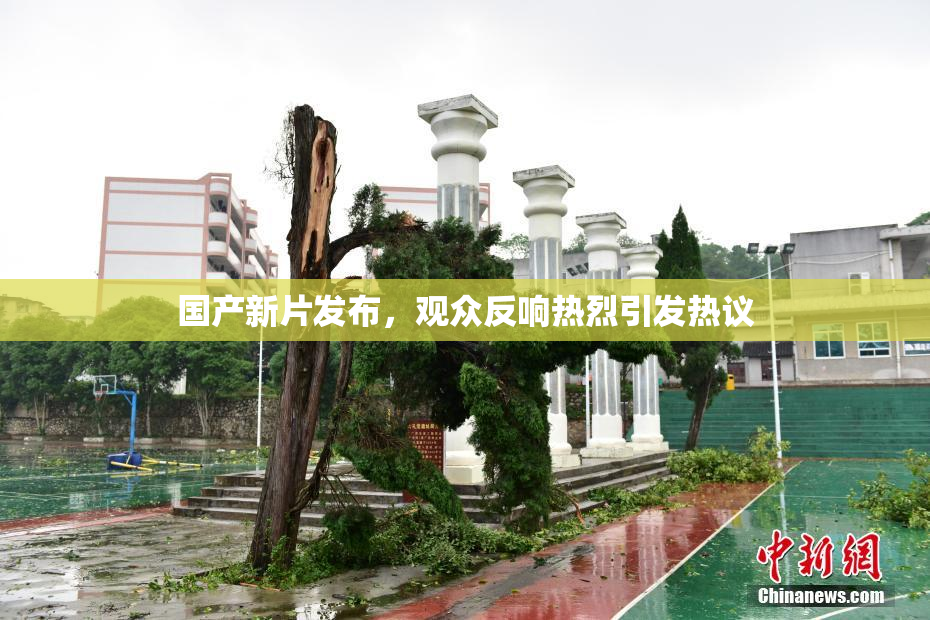 国产新片发布，观众反响热烈引发热议