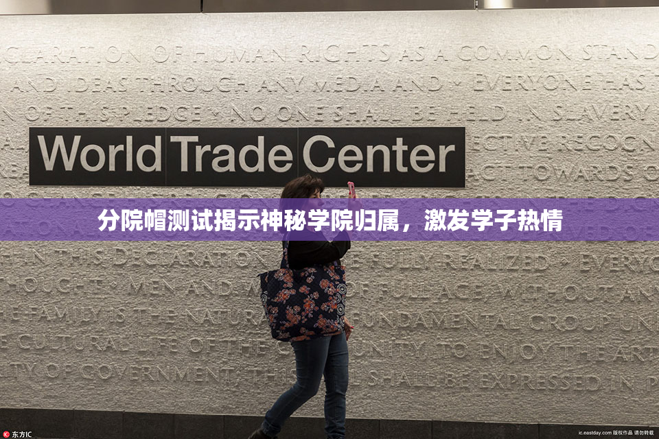 分院帽测试揭示神秘学院归属，激发学子热情