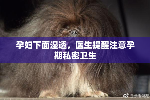 孕妇下面湿透，医生提醒注意孕期私密卫生