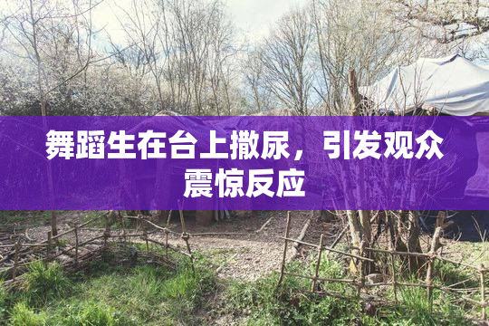 舞蹈生在台上撒尿，引发观众震惊反应
