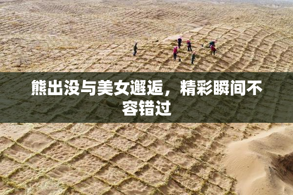 熊出没与美女邂逅，精彩瞬间不容错过