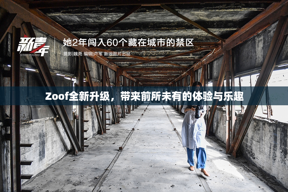 Zoof全新升级，带来前所未有的体验与乐趣