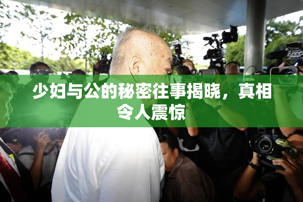 少妇与公的秘密往事揭晓，真相令人震惊