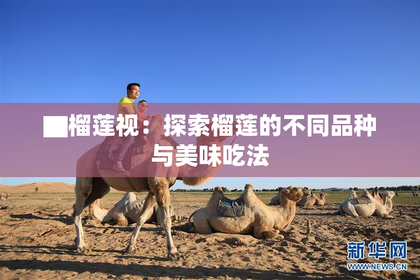▇榴莲视：探索榴莲的不同品种与美味吃法