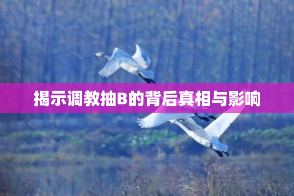 揭示调教抽B的背后真相与影响