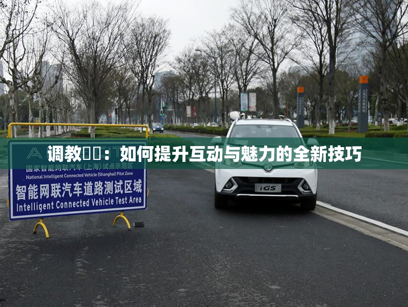 调教妺妺：如何提升互动与魅力的全新技巧