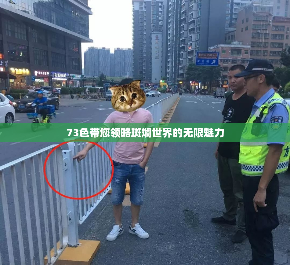 73色带您领略斑斓世界的无限魅力