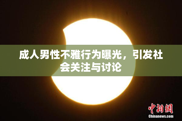 成人男性不雅行为曝光，引发社会关注与讨论