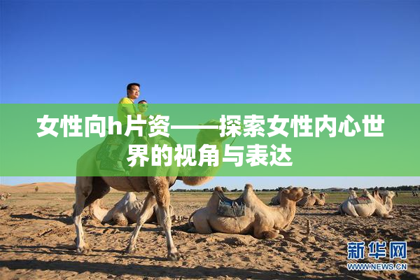 女性向h片资——探索女性内心世界的视角与表达