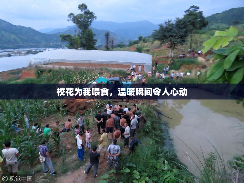 校花为我喂食，温暖瞬间令人心动