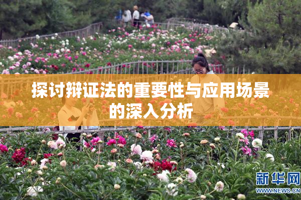 探讨辩证法的重要性与应用场景的深入分析