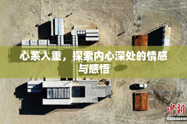 心系入重，探索内心深处的情感与感悟