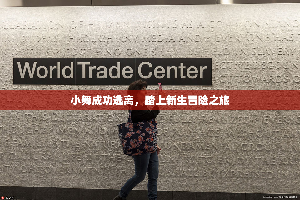 小舞成功逃离，踏上新生冒险之旅