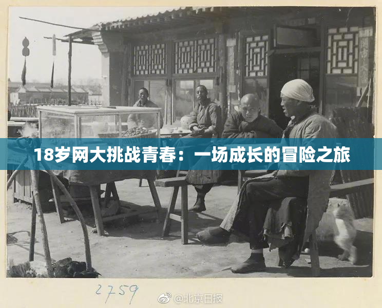 18岁网大挑战青春：一场成长的冒险之旅