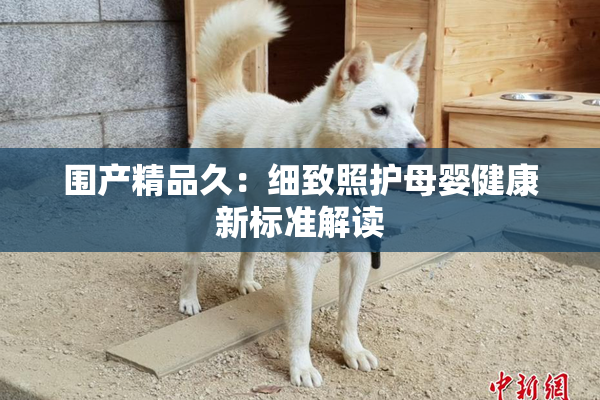 围产精品久：细致照护母婴健康新标准解读