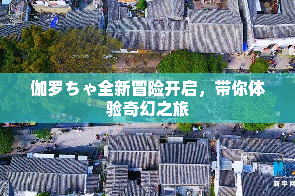 伽罗ちゃ全新冒险开启，带你体验奇幻之旅