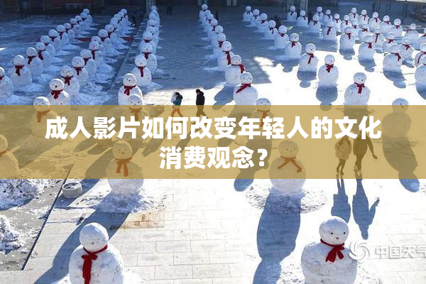 成人影片如何改变年轻人的文化消费观念？